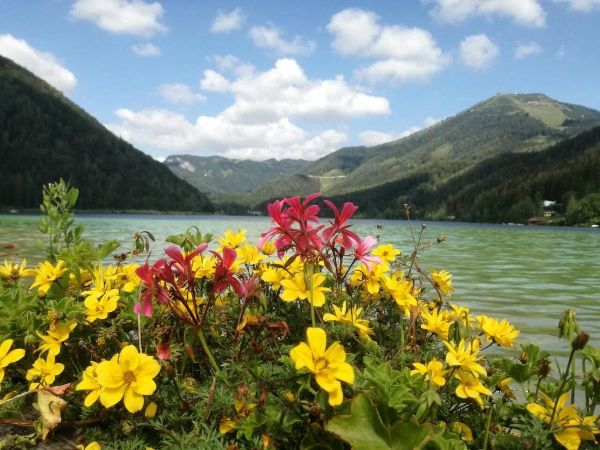 Apartment Mariazell Buergeralpe 외부 사진
