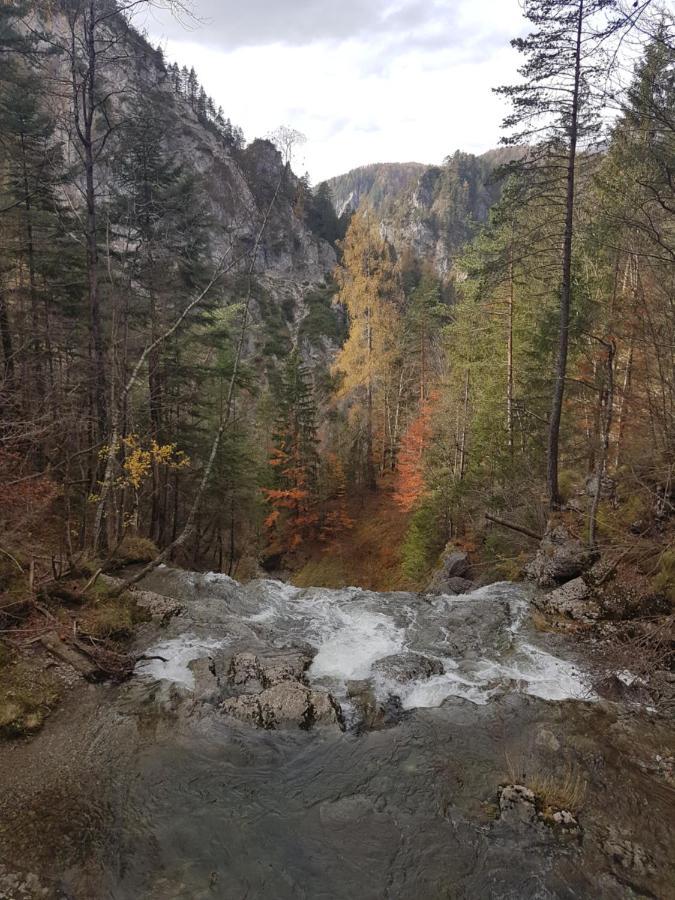 Apartment Mariazell Buergeralpe 외부 사진